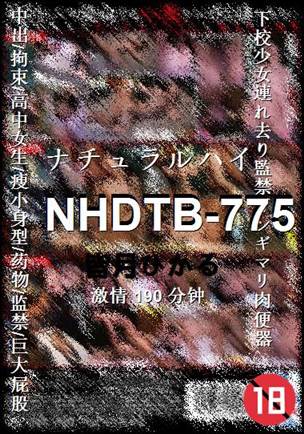 NHDTB-775种子