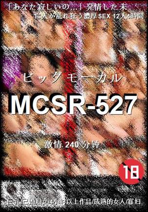 MCSR-527种子