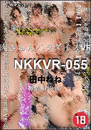 NKKVR-055种子
