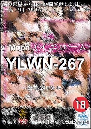 YLWN-267种子