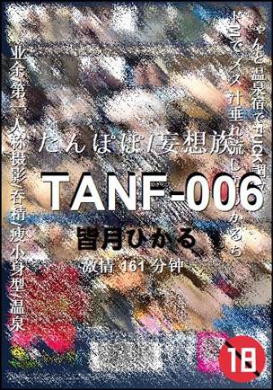 TANF-006种子