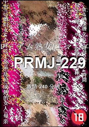 PRMJ-229