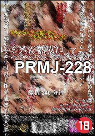PRMJ-228