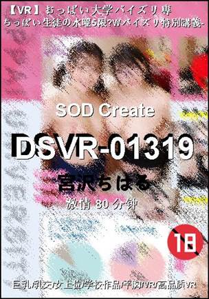 DSVR-01319