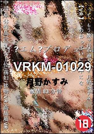VRKM-01029