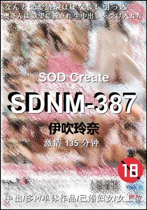 SDNM-387