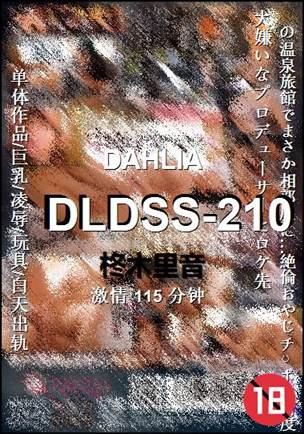 DLDSS-210