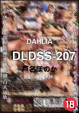 DLDSS-207