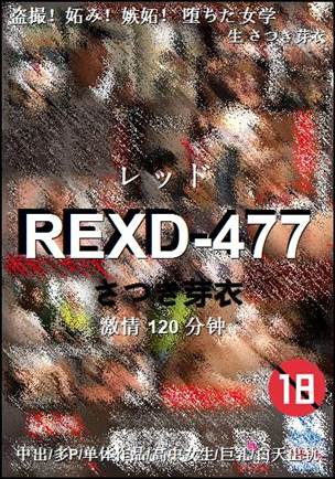 REXD-477种子