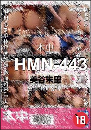 HMN-443种子