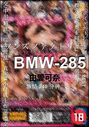 BMW-285种子