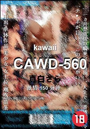CAWD-560种子