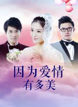 因为爱情有多美DVD版先锋影音