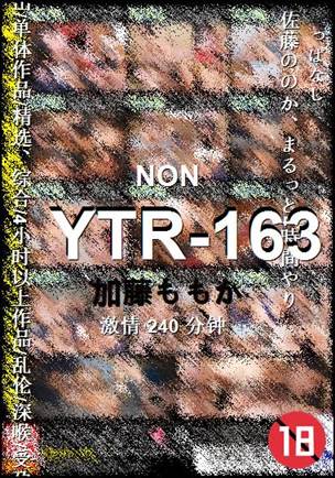YTR-163种子