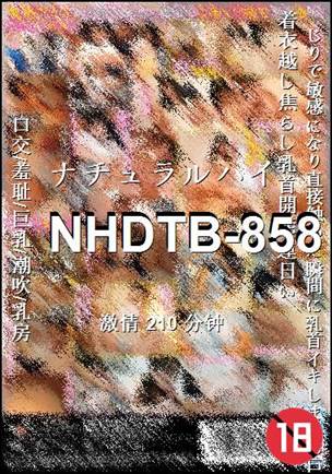 NHDTB-858种子
