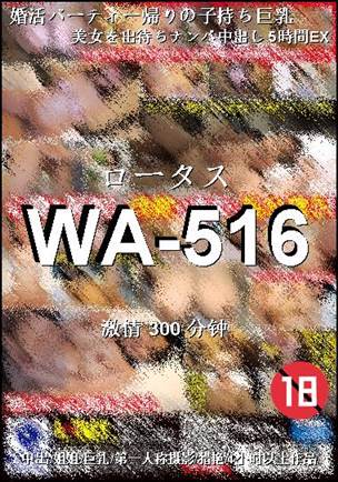 WA-516种子