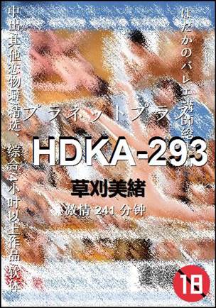 HDKA-293种子