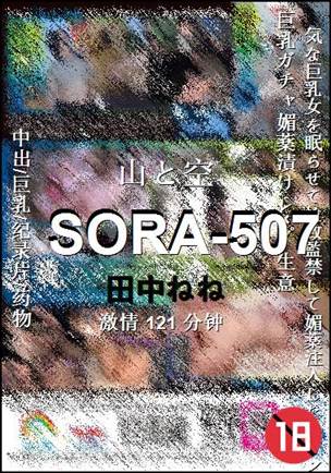 SORA-507种子