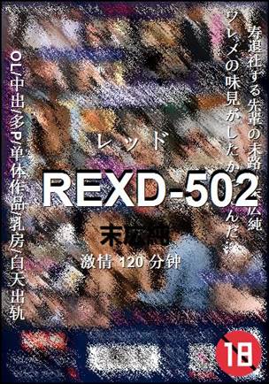 REXD-502种子