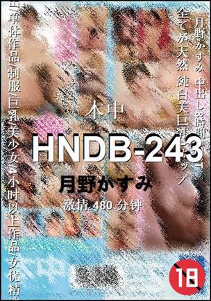 HNDB-243种子