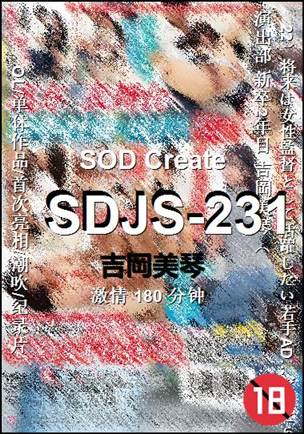 SDJS-231