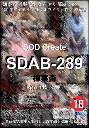 SDAB-289种子