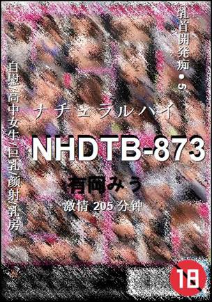 NHDTB-873种子