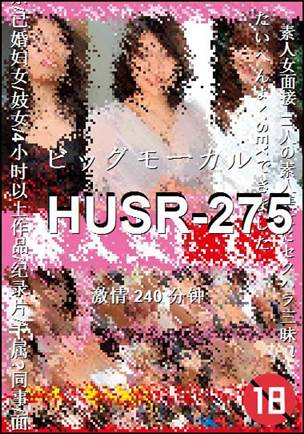 HUSR-275种子