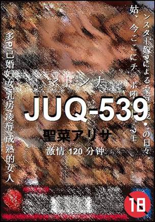 JUQ-539种子