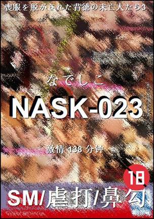 NASK-023种子