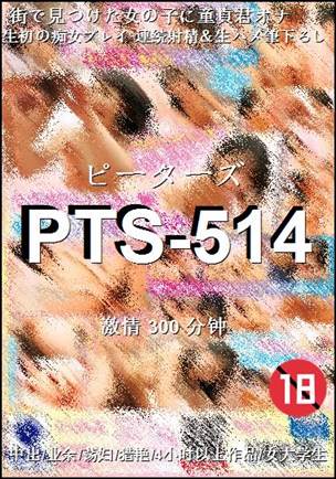 PTS-514����