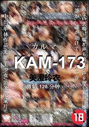KAM-173