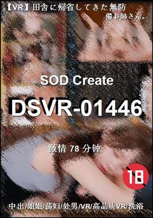 DSVR-01446����
