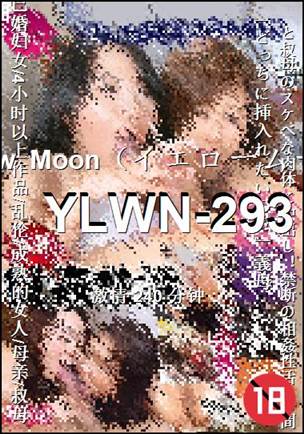YLWN-293种子