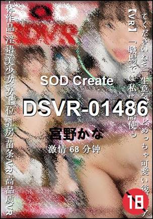 DSVR-01486