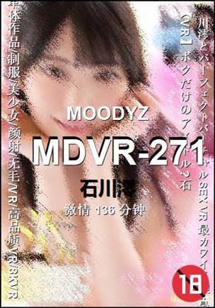 MDVR-271����