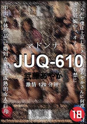 JUQ-610种子