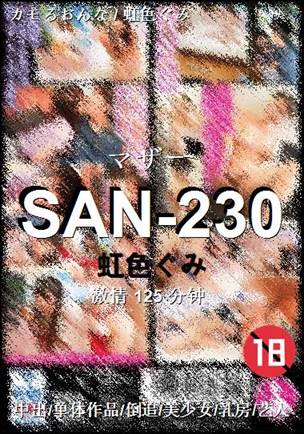 SAN-230����