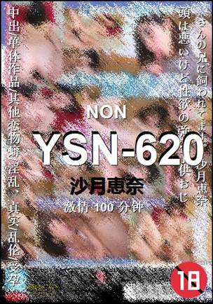 YSN-620种子