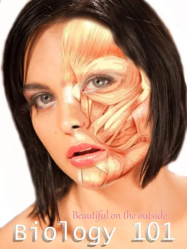 ����ס���ջ�