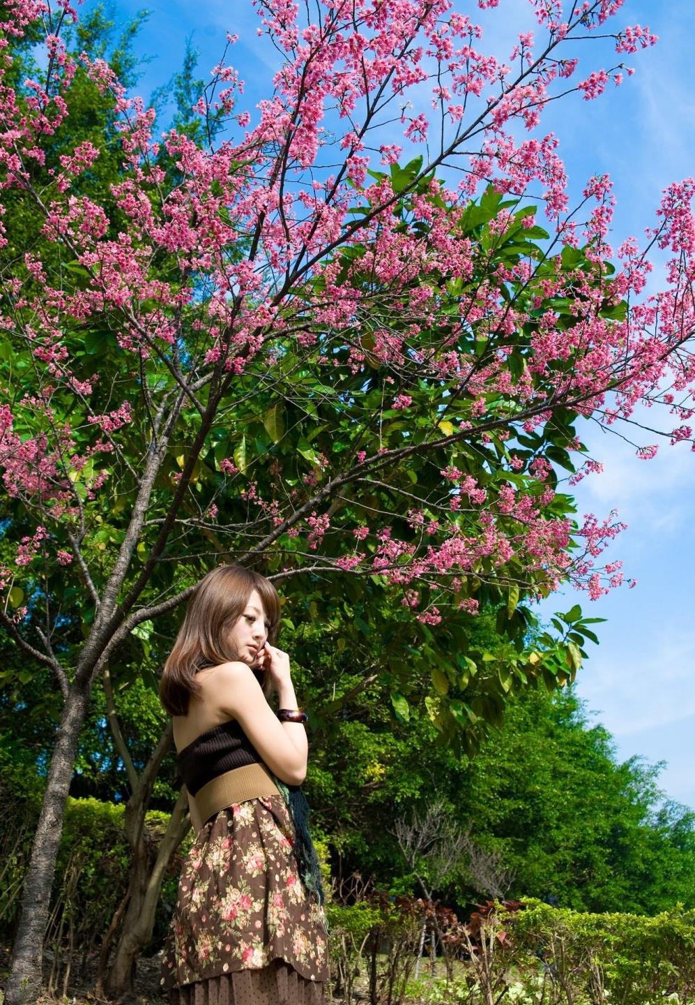 ɫ���������ۺ������